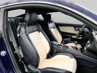 2015 Ford Mustang GT 50 Years Limited Edition
