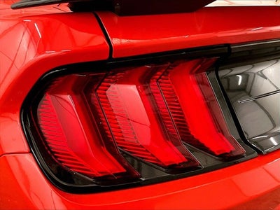 2022 Ford Mustang Shelby GT500