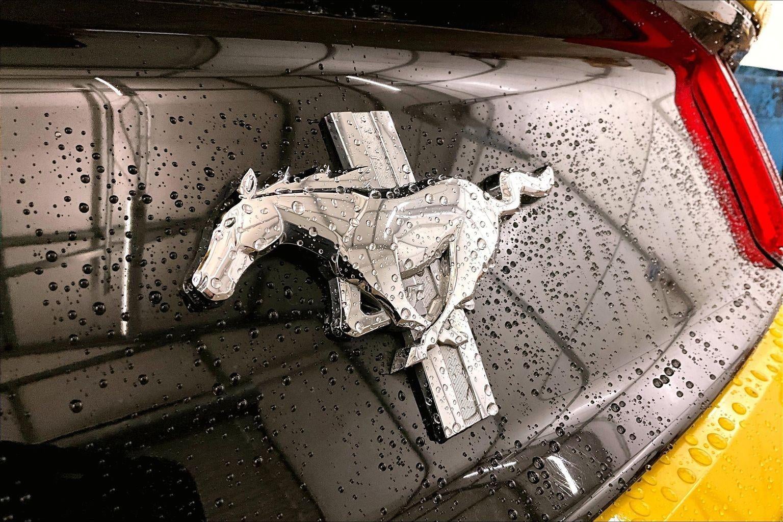 2017 Ford Mustang V6