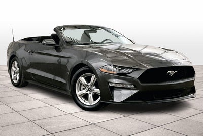 2019 Ford Mustang EcoBoost