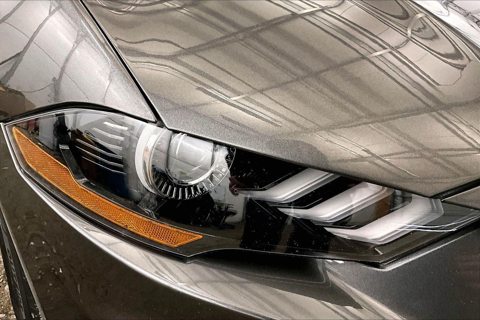 2019 Ford Mustang EcoBoost