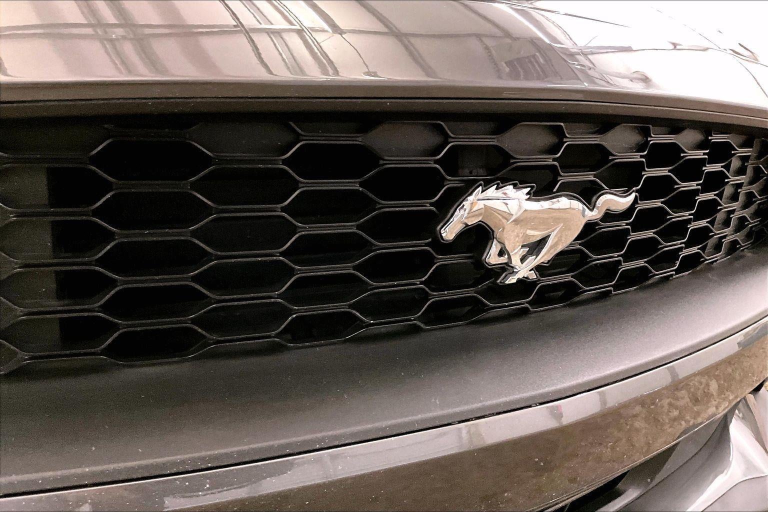 2019 Ford Mustang EcoBoost
