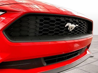 2023 Ford Mustang EcoBoost