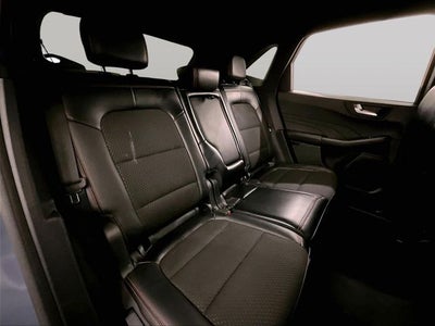 2023 Ford Escape ST-Line Elite