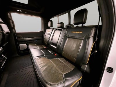 2021 Ford F-150 Tremor