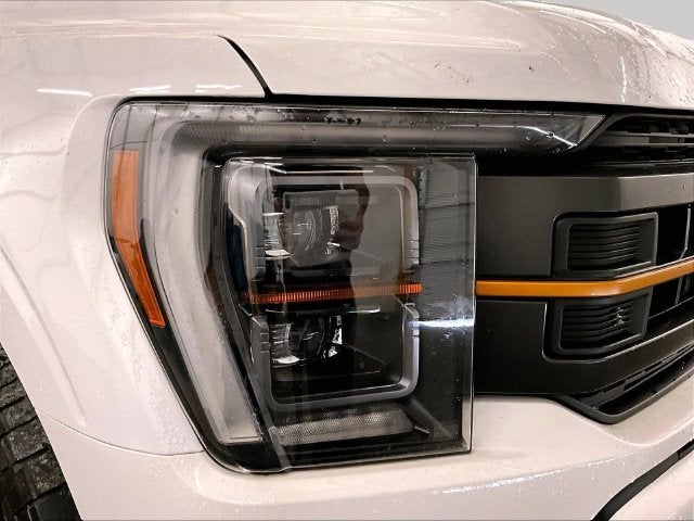 2021 Ford F-150 Tremor