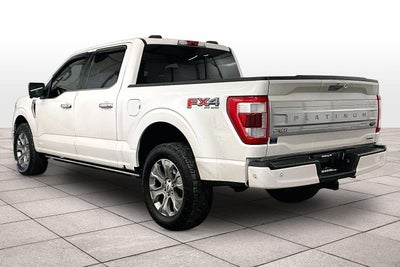 2021 Ford F-150 Platinum
