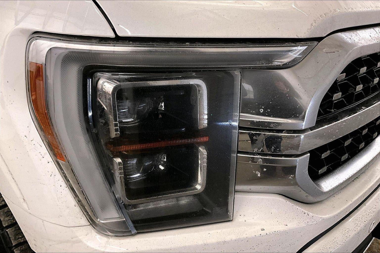 2021 Ford F-150 Platinum