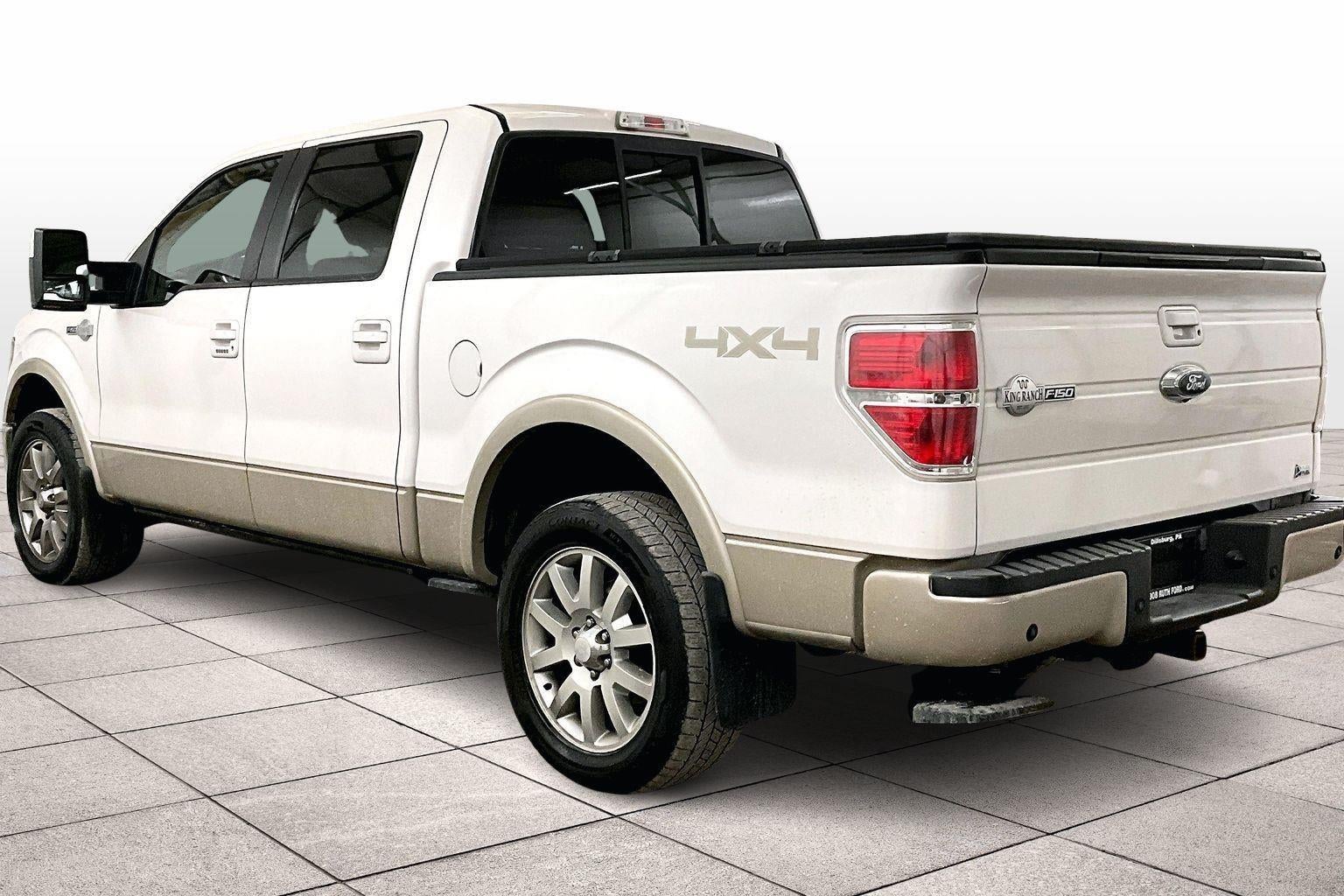 2010 Ford F-150 Platinum