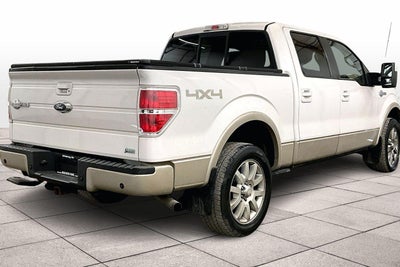2010 Ford F-150 Platinum