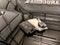 2022 Chevrolet Silverado 2500HD Custom
