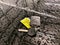 2019 Chevrolet Colorado 4WD LT