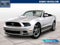 2014 Ford Mustang V6 Premium