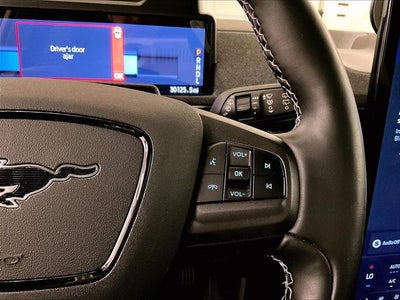 2022 Ford Mustang Mach-E GT