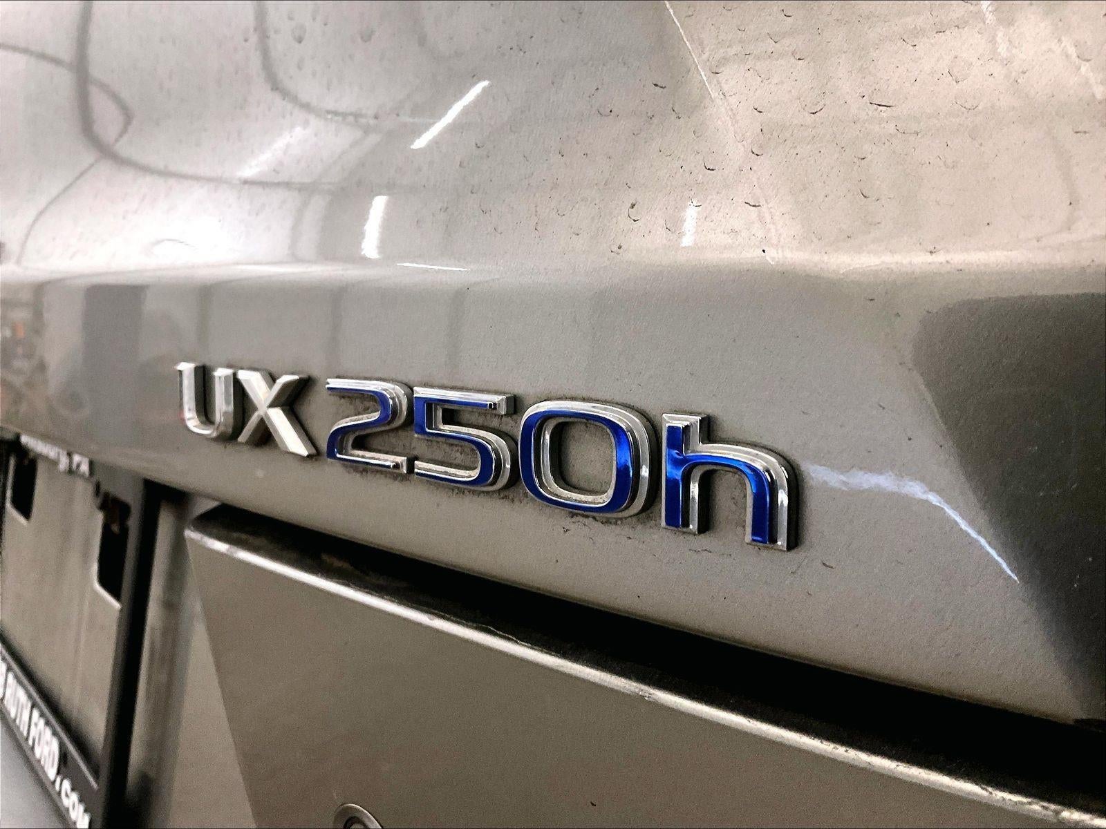2019 Lexus UX UX 250h Luxury