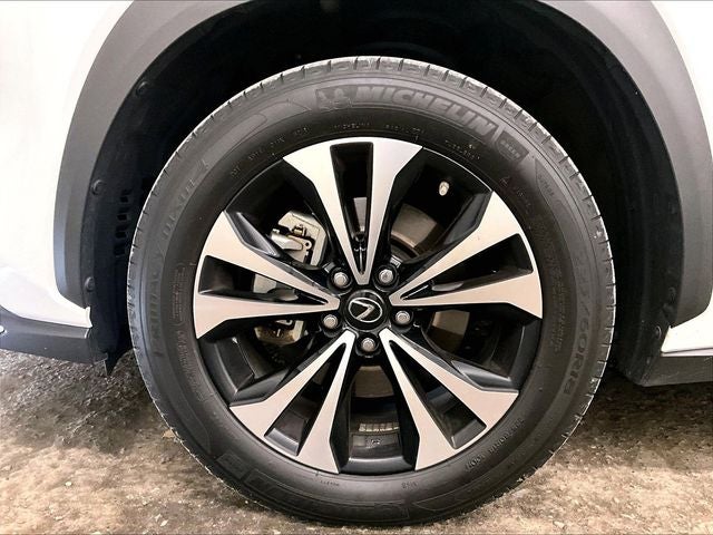 2020 Lexus NX 300 F Sport