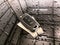 2023 Hyundai Venue SE